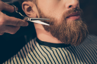 Beard Design / Shave 